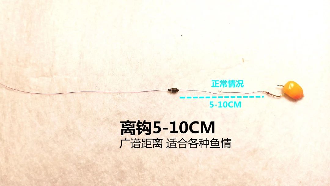 逗钓实操调漂技巧图解大全,钓鱼传统钓法是怎么调漂的