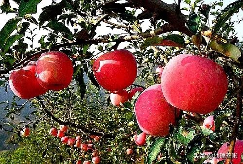 栖霞是什么位置,栖霞区是什么县