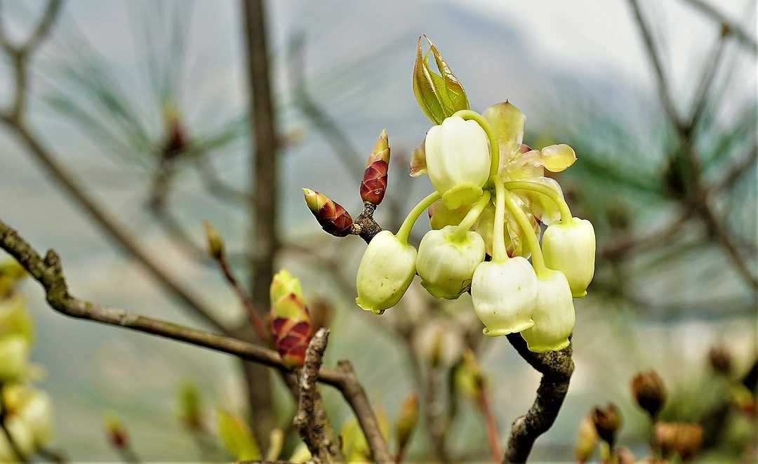 男科实习心得体会怎么写,男科问诊经历描述