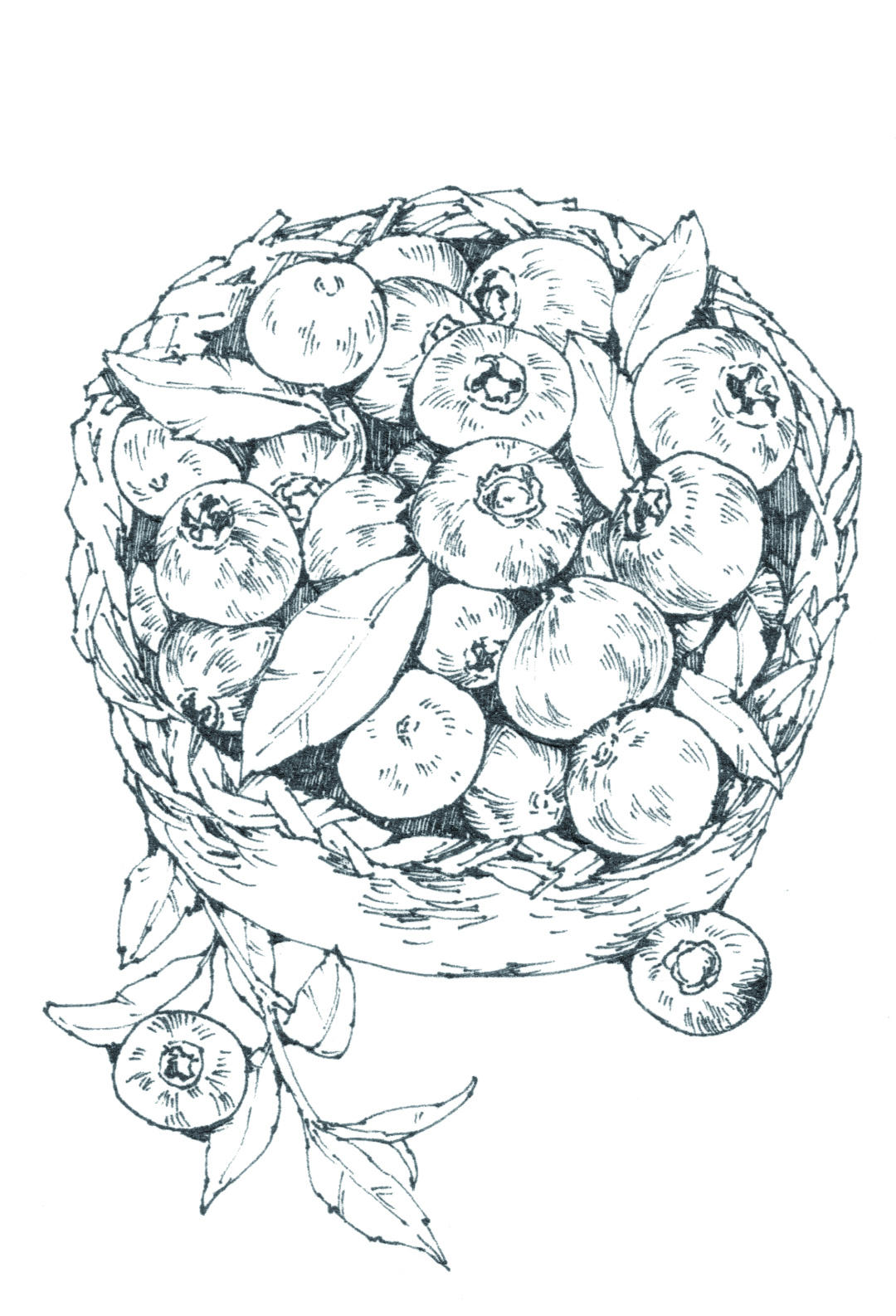 蓝莓味的章鱼小丸子,草莓章鱼小丸子口味