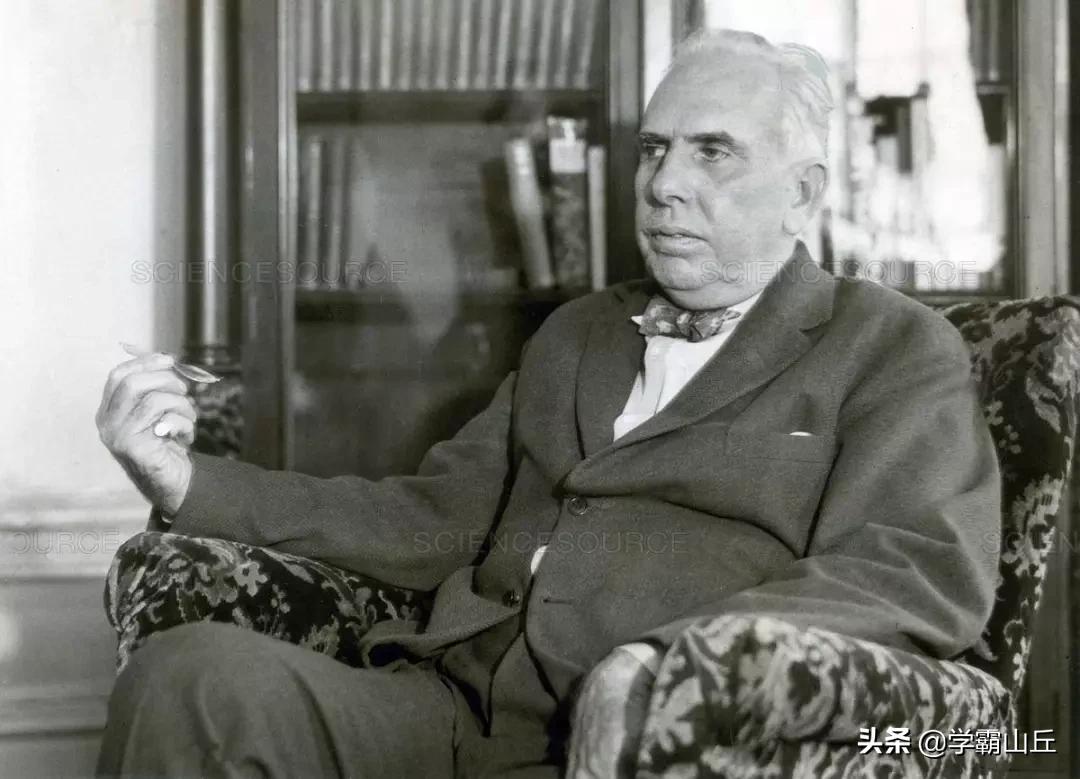 国际学校学生读什么书好,国际学校学生必读书单