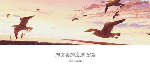 2019年最打动人心的文案,十条扎心热门文案短句建议收藏