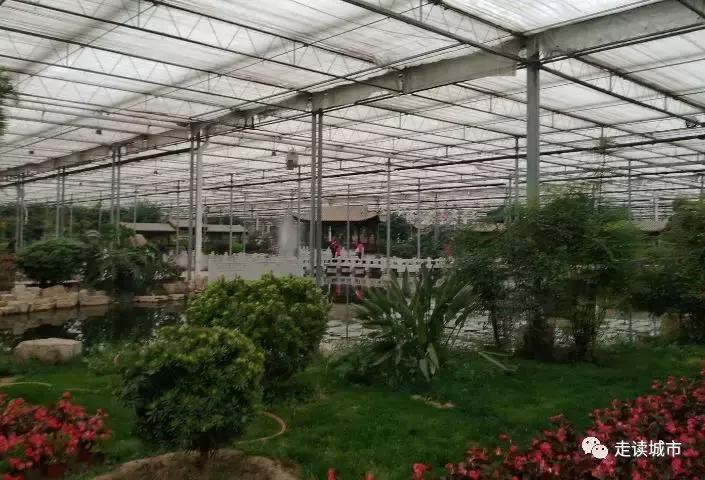 走读城市之廊坊安次（八）：九天休闲谷