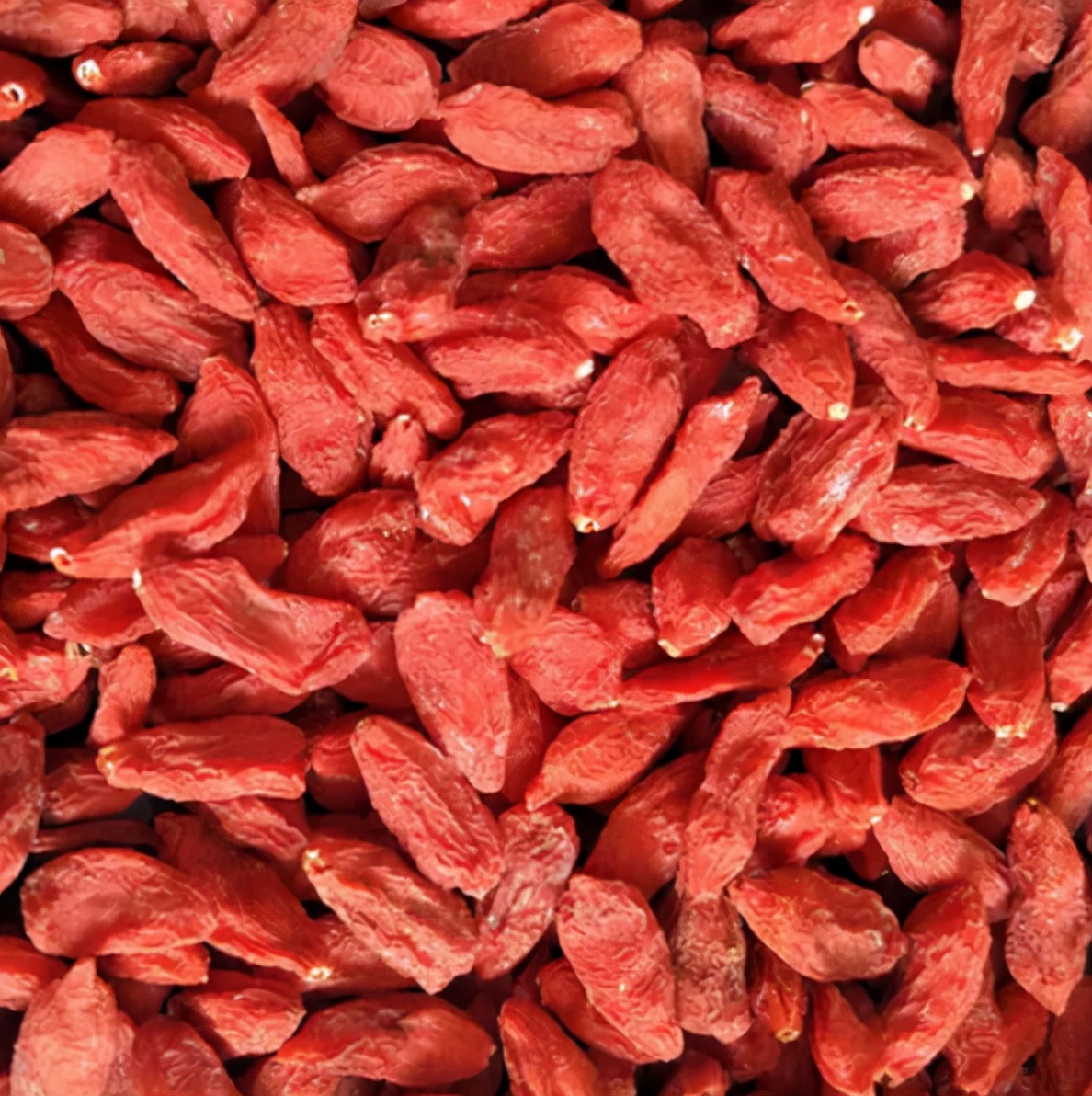 天下黄河富宁夏,天下黄河富宁夏枸杞