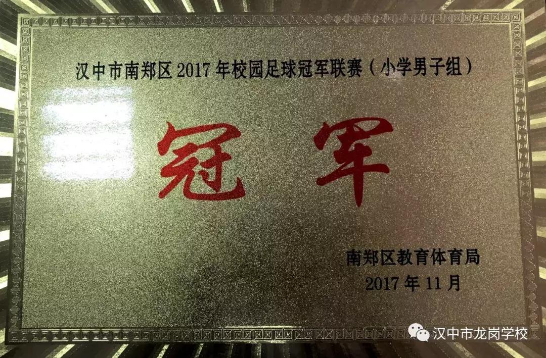 汉中龙岗中学特长生分数线,汉中龙岗学校招人