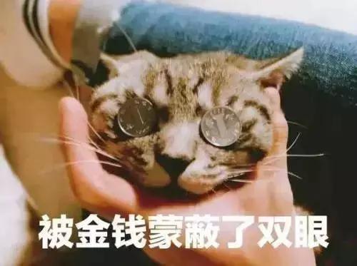 副业零成本月入5000万怎么样,斜杠青年副业