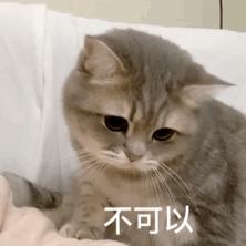 单手捂脸拍照姿势女生,女生自拍姿势单手