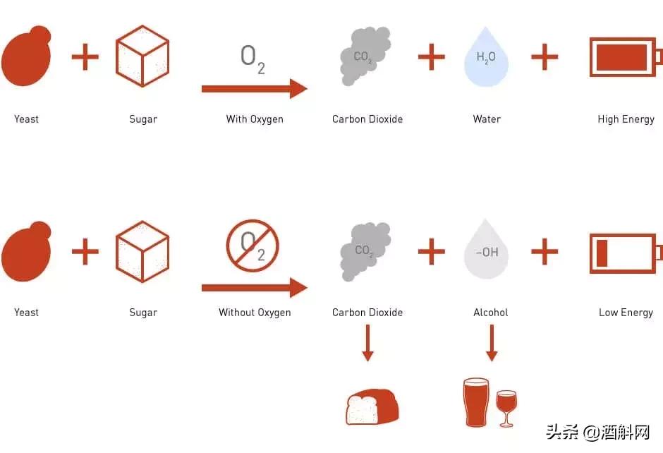 起泡葡萄酒超过了10年还能喝吗,起泡葡萄酒为啥会起泡