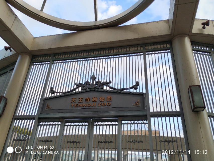 3月底日本关西8日游攻略,日本关西旅游攻略七日游