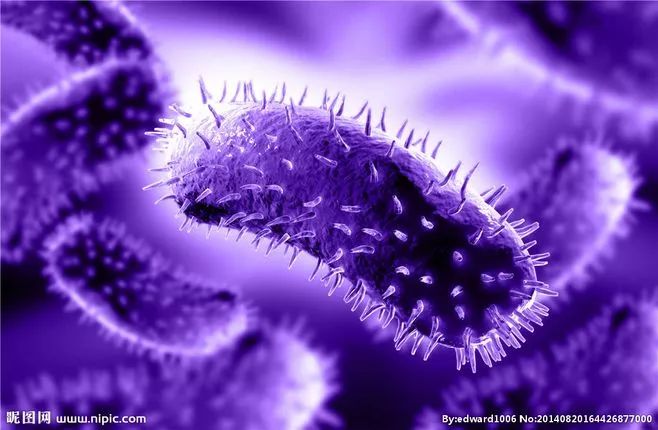 酸性氧化电位水——安全、环保、高效的杀菌用水