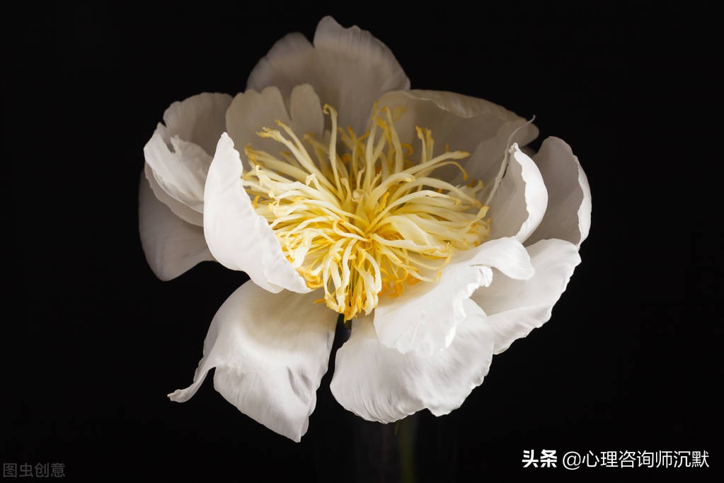 青春期孩子脾气大，父母不敢管，你不知道孩子盼着你管，方法给你