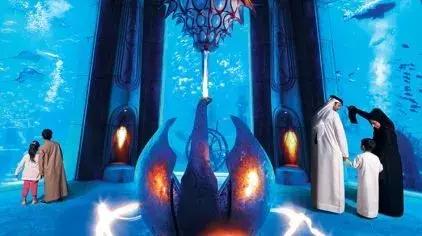 沉浸式乐园强势来袭游客“刷刷刷”不停