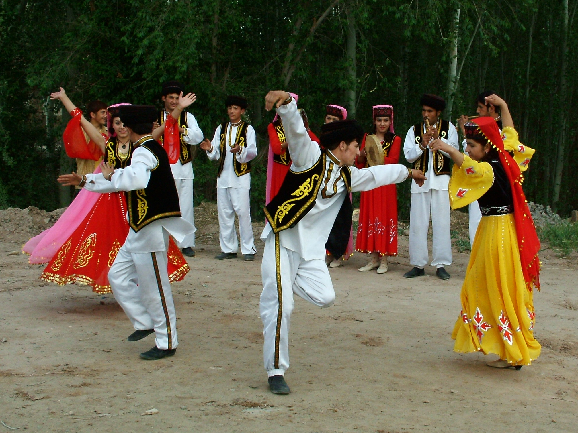 中国56个民族知识大全书籍,关于中国56个民族的知识