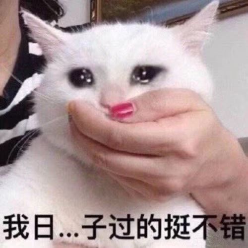 怎么辨别口罩的质量是真是假,怎样可以分清口罩是假货还是真货