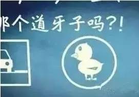 辽宁各地方言对比视频,辽宁话汇总