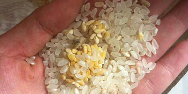 怎样挑选大米看标签,怎样挑选大米健康食品