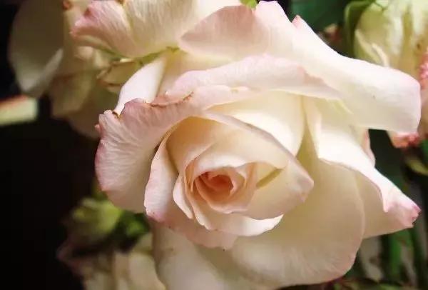 每天学习一点点女性小常识,每天学习一点点科普一下