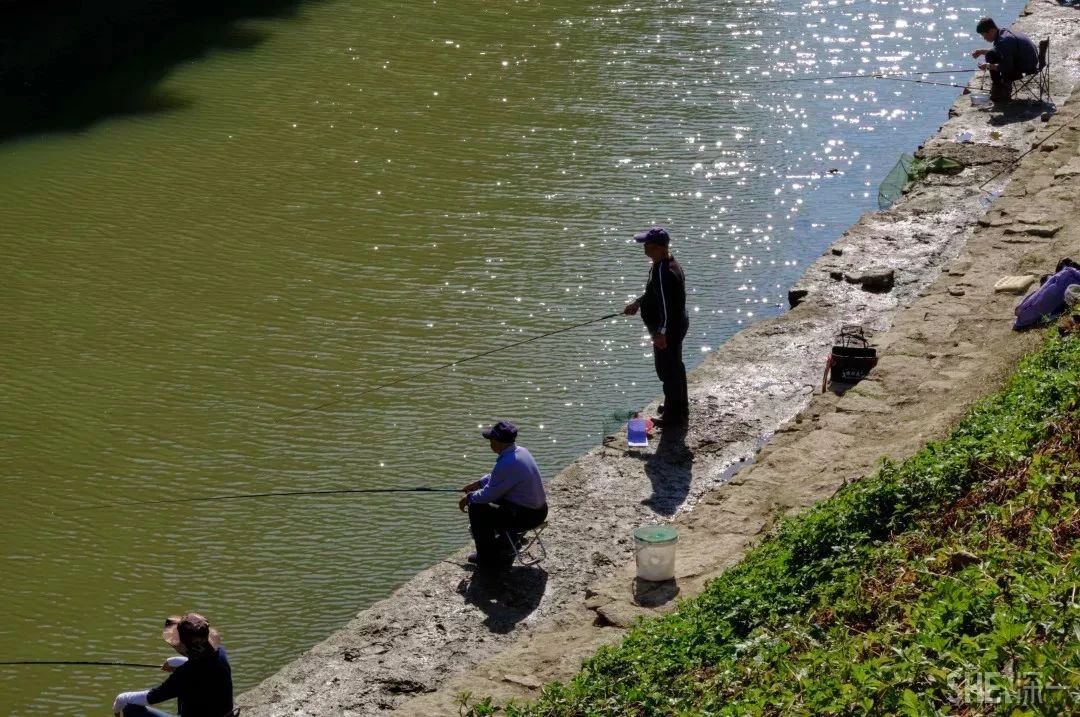 深圳这27个热门游玩地，坐2号线全都能到