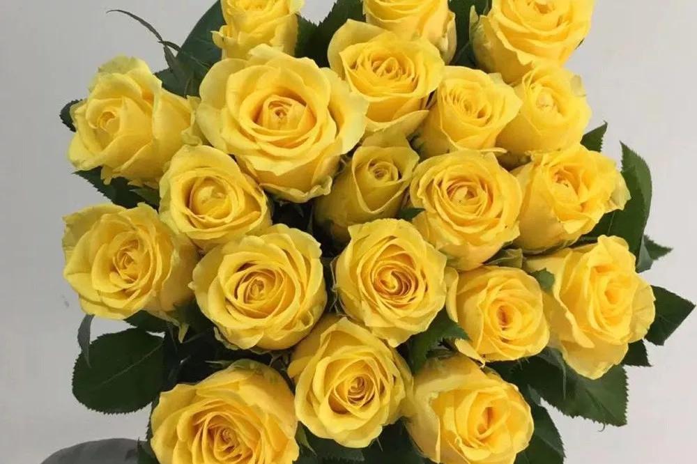 花店必备的5款玫瑰,花店最常用什么品种的玫瑰花