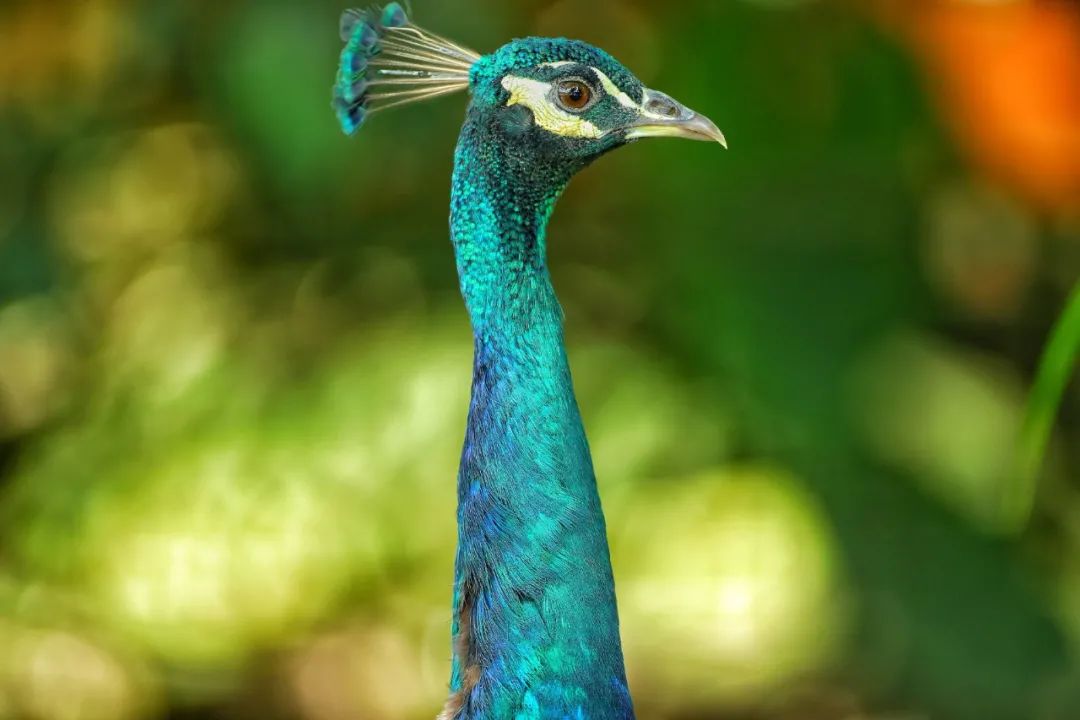 云南抚仙湖绝美风景,云南人少地方美