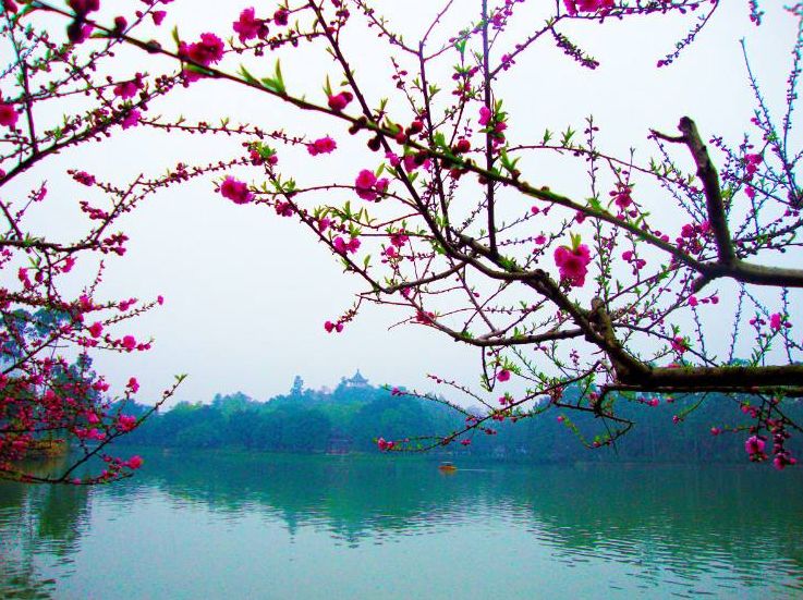 原创诗词—往事如风皆隐去心中幽梦雪莲香