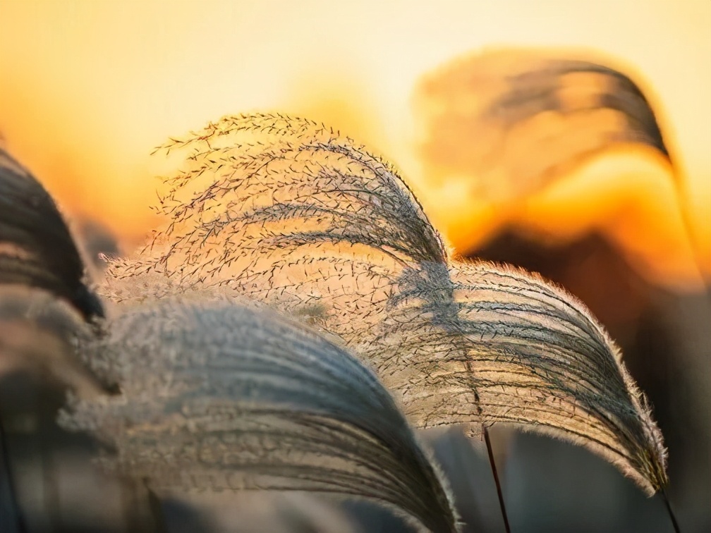 快乐的苏州西山农家乐之旅,苏州西山农家乐自驾游攻略图