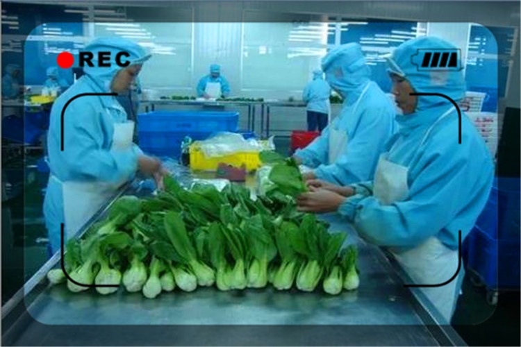 农村加工厂创业项目包回收,农村办加工厂有啥项目