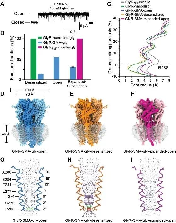脑科学日报是真的吗,脑科学日报新突破
