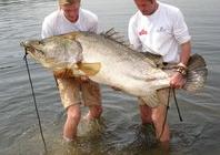 全国十大凶猛淡水鱼是什么,十大养不死的淡水鱼大型凶猛