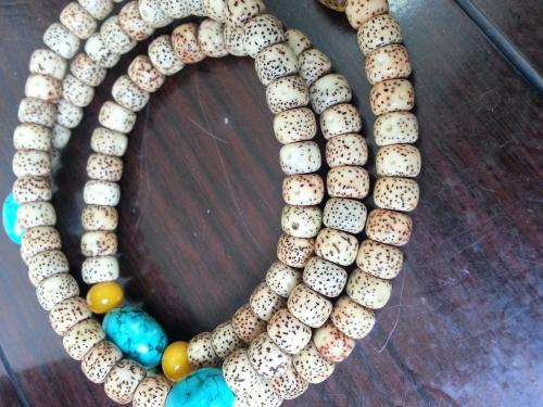 揭开星月之谜,星月菩提揭秘