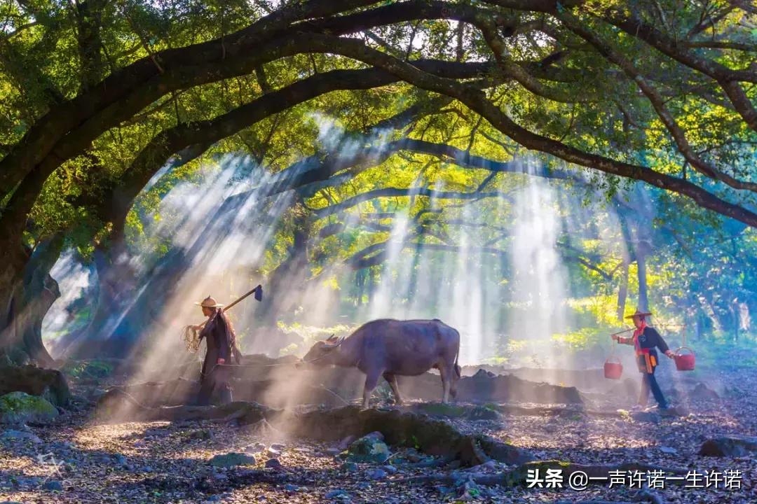 躲开了那条咬人的狗,躲开那条咬人的狗狗