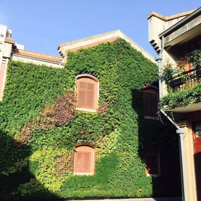 上海石库门里,上海市的石库门