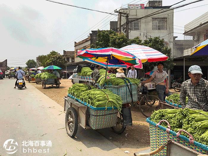 对不起,我要去石康了