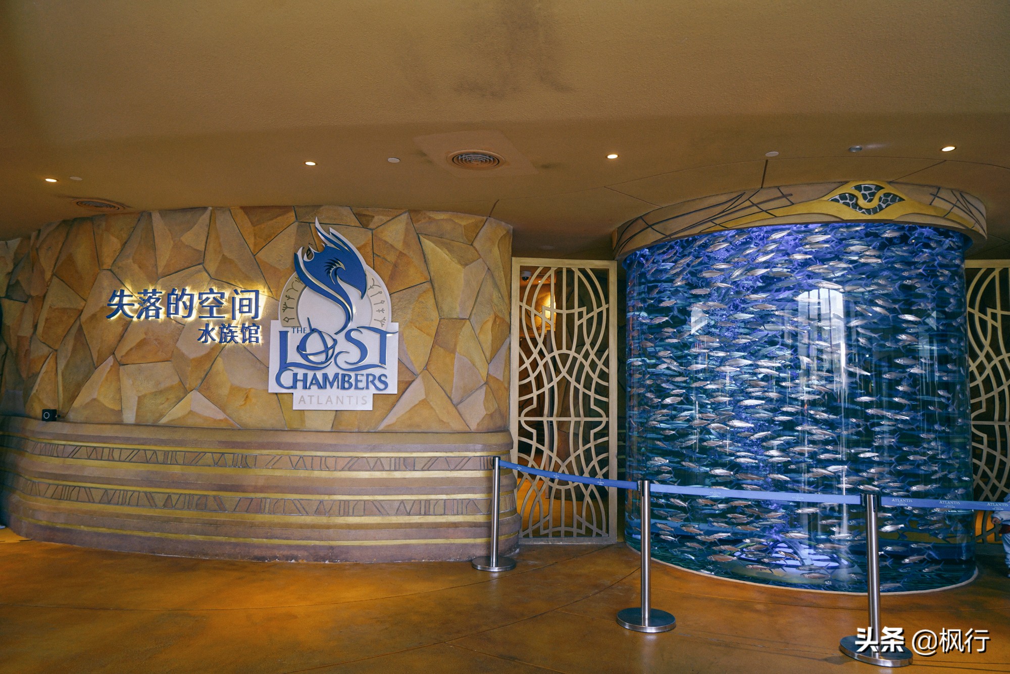 被猴子袭击，门票昂贵，拍照被轰，被我全程吐槽的三亚到底值不值