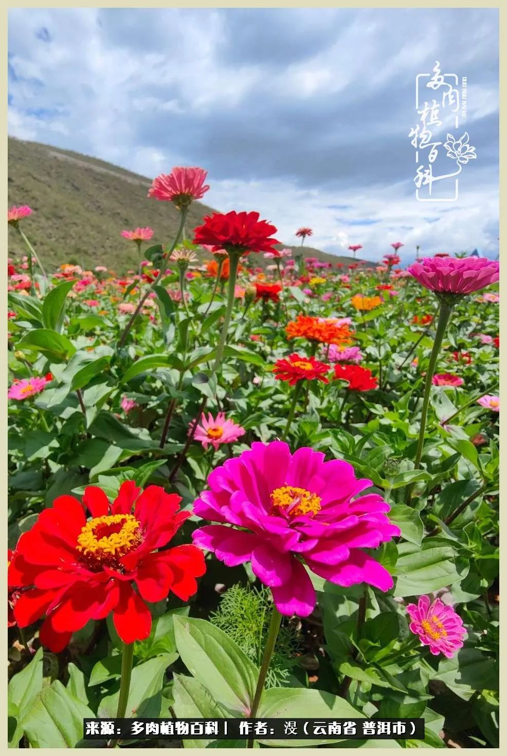 深情不及久伴,厚爱无需多言,择一“爱”,护一生