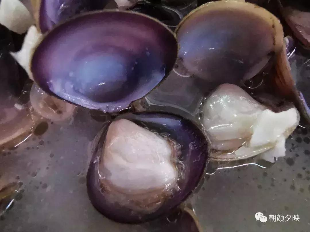 江门新会石板沙攻略,广东江门石板沙旅游景点