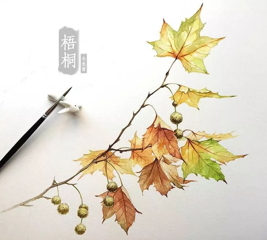 法国梧桐树转世(中英双语)