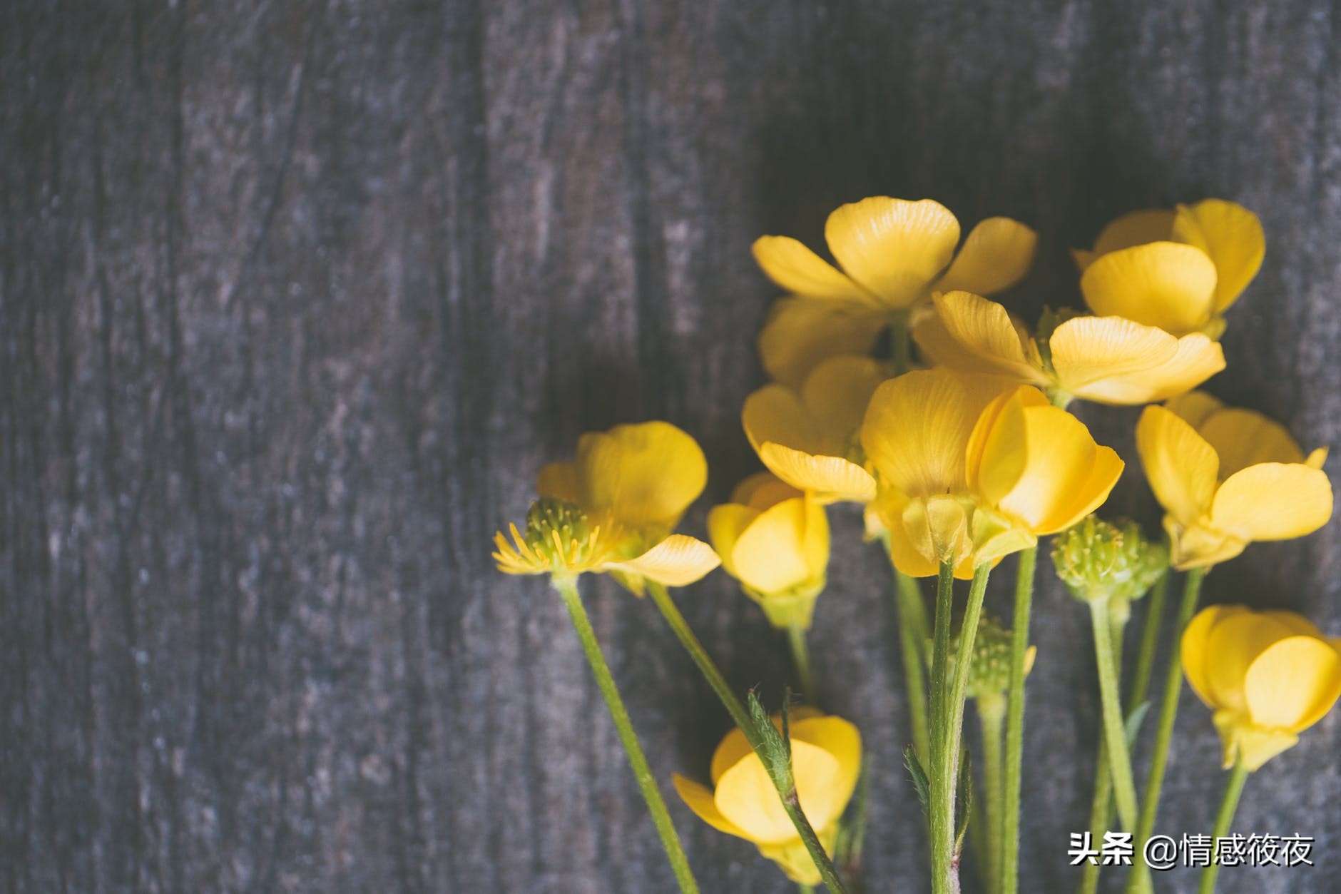 修复与邻居发生争吵后的关系