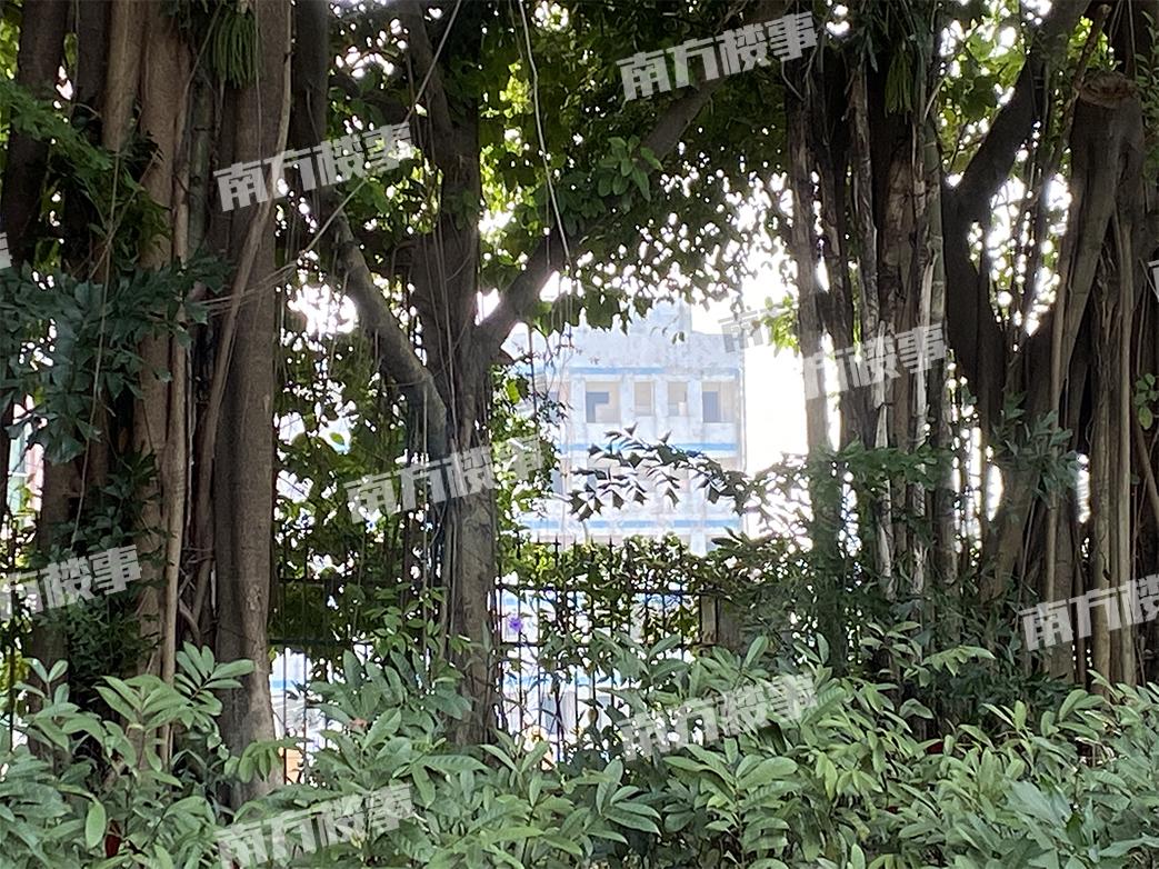 娣卞湷涓囦汉宸ュ巶鎼縼浜嗗悧,娣卞湷涓囦汉宸ュ巶鎼蛋鍚庣殑鎰熻