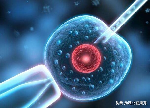 试管婴儿都有可能出现什么问题,做试管婴儿是谁的问题