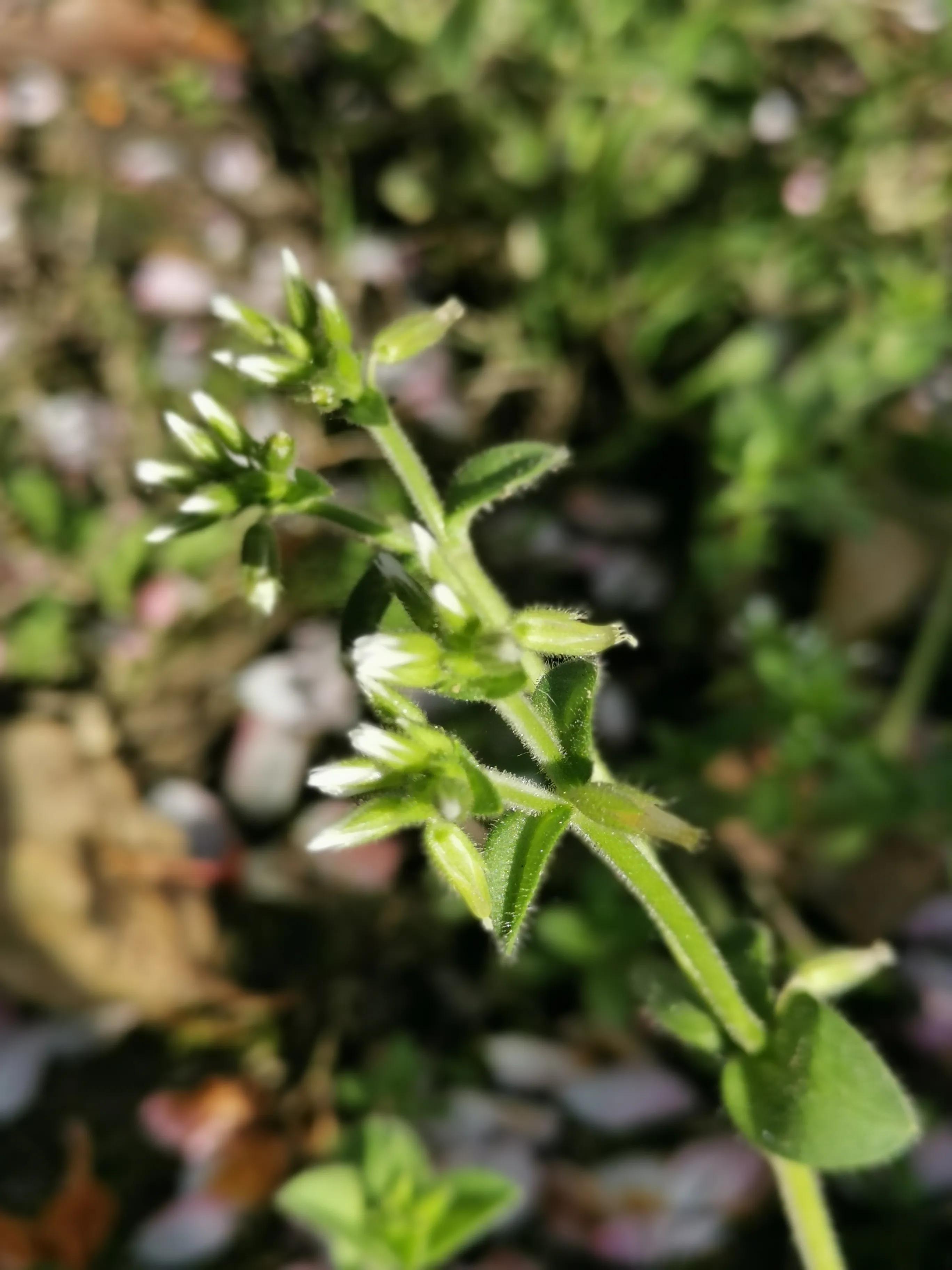 0328丽娣幸福实修日志第406篇