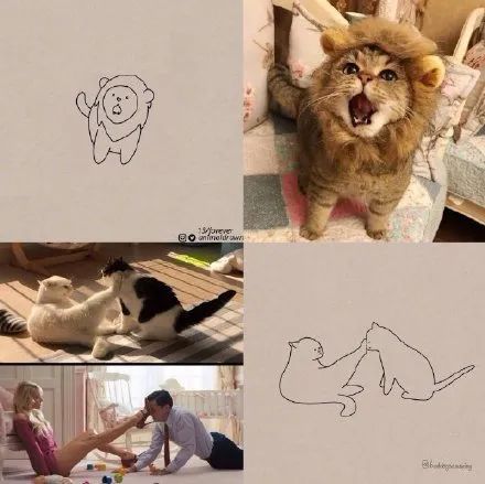你和大触绘画的区别：一看就会一画就废，这波动物简笔画太形象了