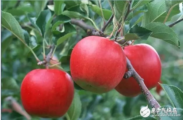 作为硬件工程师需要会哪些东西,硬件工程师需要解决很多问题吗