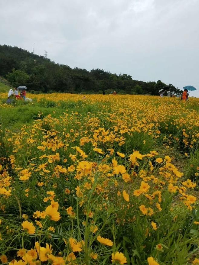 大连普兰店小众景点,大连免费的景点推荐