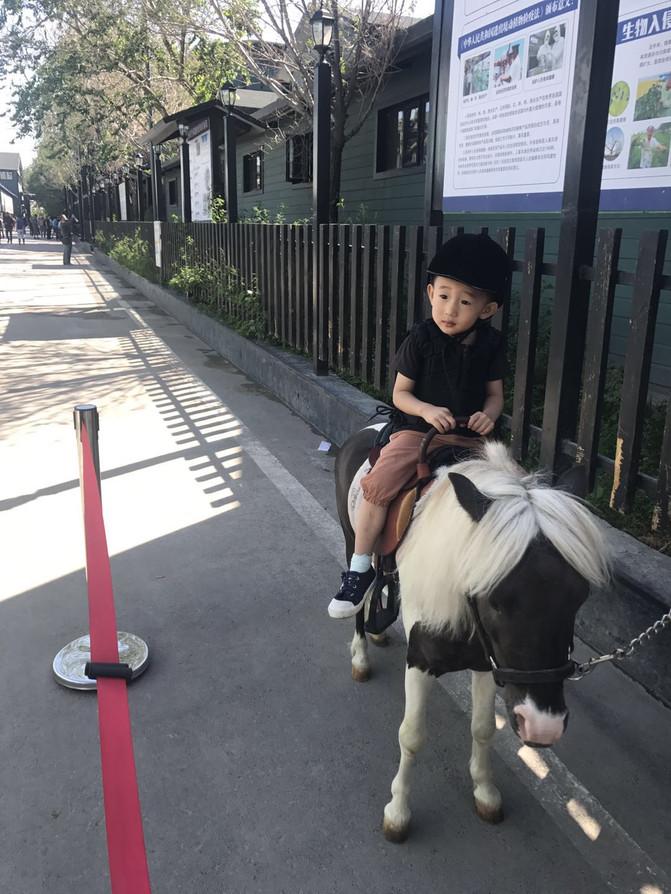 亲子游3天2晚郑州,暑假遛娃郑州