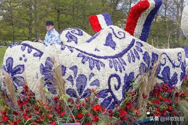错过郁金香的阿姆斯特丹,荷兰赏花景点推荐