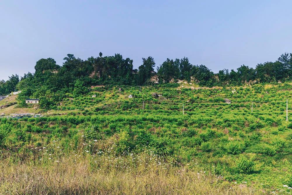 重庆市垫江县鹤游坪,垫江鹤游坪古镇