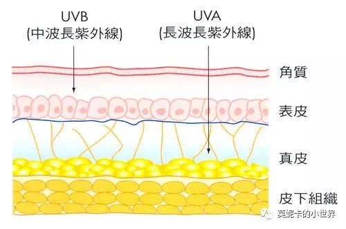 知乎回答过于频繁会不会封号,用护肤品长痘是排毒吗知乎