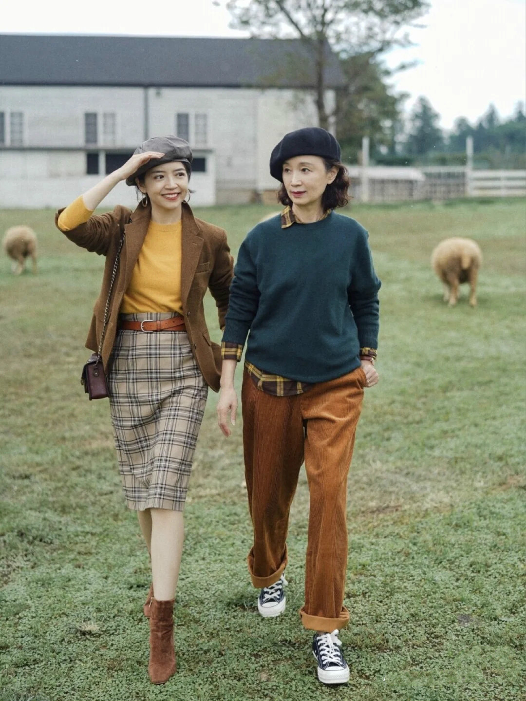 三木大地色搭配,三木穿什么颜色好看