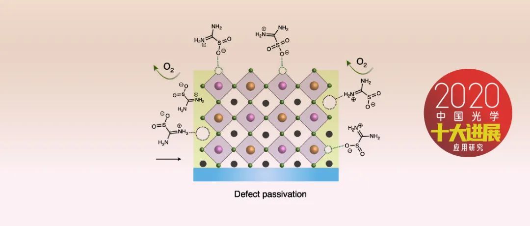2020骞村害涓浗鍏夊鍗佸ぇ杩涘睍,2020骞村害涓浗鍏夊鍗佸ぇ杩涘睍鎻檽